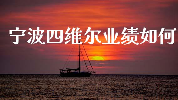 宁波四维尔业绩如何_https://cj002.lansai.wang_财经百问_第1张