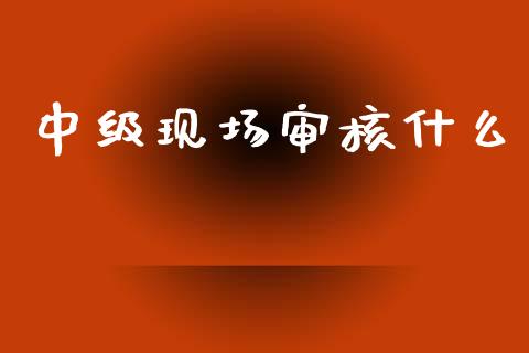 中级现场审核什么_https://cj002.lansai.wang_会计问答_第1张