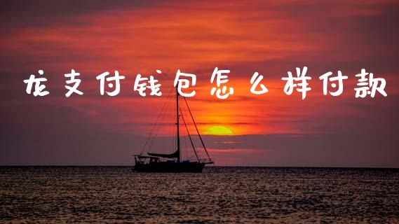 龙支付钱包怎么样付款_https://cj002.lansai.wang_理财问答_第1张