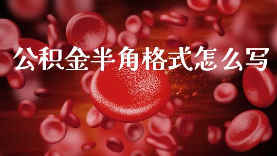 公积金半角格式怎么写_https://cj002.lansai.wang_保险问答_第1张