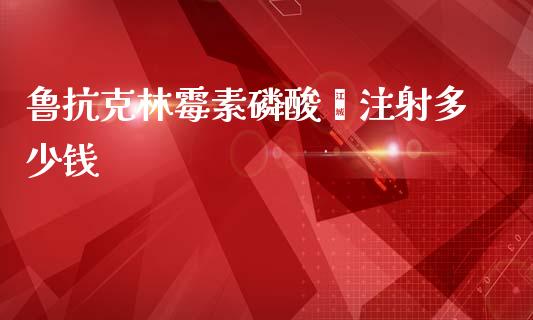 鲁抗克林霉素磷酸酯注射多少钱_https://cj002.lansai.wang_理财问答_第1张