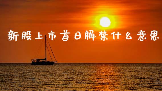 新股上市首日解禁什么意思_https://cj002.lansai.wang_股市问答_第1张