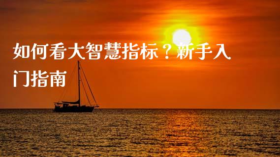 如何看大智慧指标？新手入门指南_https://cj002.lansai.wang_财经百问_第1张