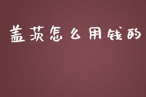 盖茨怎么用钱的_https://cj002.lansai.wang_期货问答_第1张