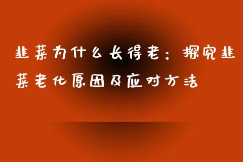 韭菜为什么长得老：探究韭菜老化原因及应对方法_https://cj002.lansai.wang_期货问答_第1张