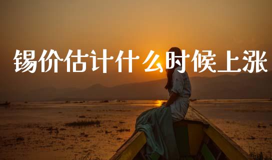 锡价估计什么时候上涨_https://cj002.lansai.wang_理财问答_第1张