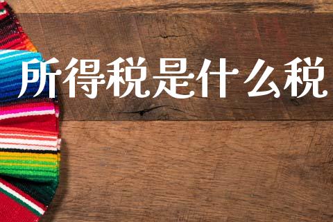 所得税是什么税_https://cj002.lansai.wang_会计问答_第1张