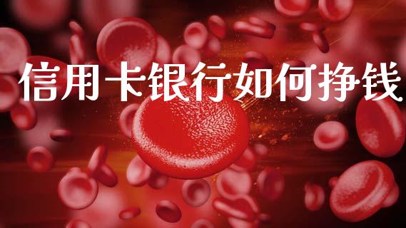 信用卡银行如何挣钱_https://cj002.lansai.wang_财经问答_第1张