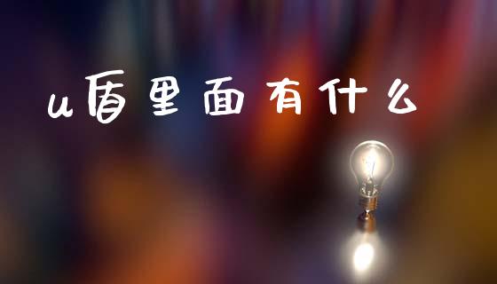 u盾里面有什么_https://cj002.lansai.wang_金融问答_第1张