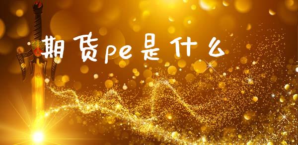 期货pe是什么_https://cj002.lansai.wang_会计问答_第1张