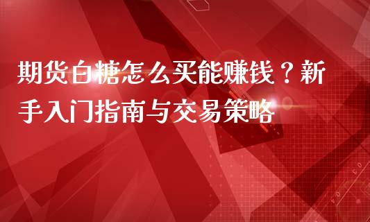 期货白糖怎么买能赚钱？新手入门指南与交易策略_https://cj002.lansai.wang_会计问答_第1张