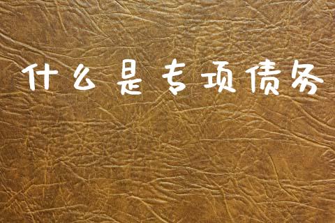 什么是专项债务_https://cj002.lansai.wang_期货问答_第1张