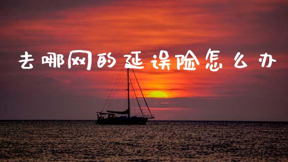 去哪网的延误险怎么办_https://cj002.lansai.wang_保险问答_第1张