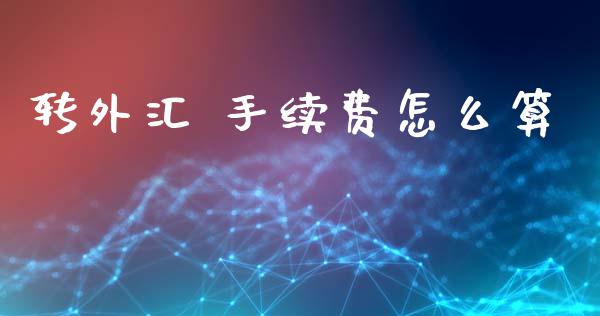 转外汇 手续费怎么算_https://cj002.lansai.wang_财经问答_第1张