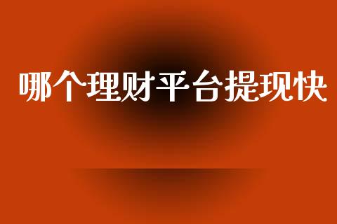 哪个理财平台提现快_https://cj002.lansai.wang_理财问答_第1张