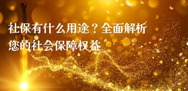 社保有什么用途？全面解析您的社会保障权益_https://cj002.lansai.wang_金融问答_第1张