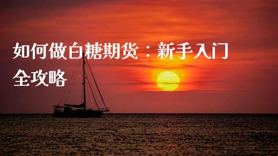 如何做白糖期货:新手入门全攻略_会计问答_第1张_财经百问网 如何做白糖期货:新手入门全攻略_https://cj002.lansai.wang_会计问答_第1张