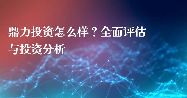 鼎力投资怎么样？全面评估与投资分析_https://cj002.lansai.wang_期货问答_第1张