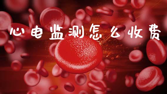 心电监测怎么收费_https://cj002.lansai.wang_理财问答_第1张