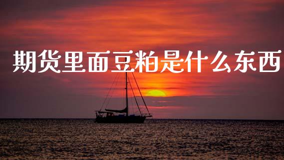 期货里面豆粕是什么东西_会计问答_第1张_财经百问网 期货里面豆粕是什么东西_https://cj002.lansai.wang_会计问答_第1张