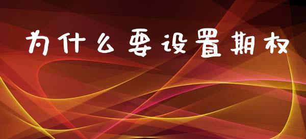 为什么要设置期权_https://cj002.lansai.wang_期货问答_第1张