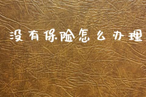 没有保险怎么办理_https://cj002.lansai.wang_保险问答_第1张