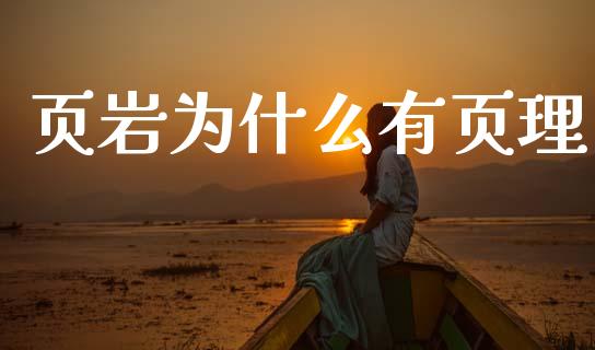 页岩为什么有页理_https://cj002.lansai.wang_股市问答_第1张