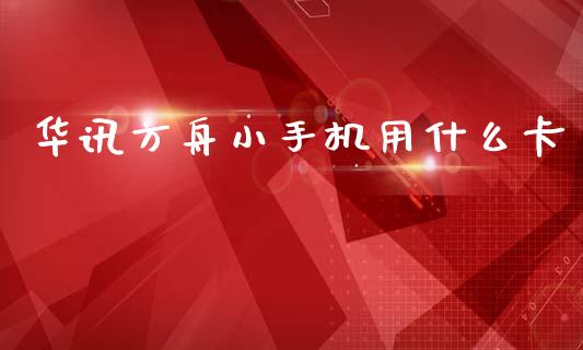 华讯方舟小手机用什么卡_https://cj002.lansai.wang_会计问答_第1张
