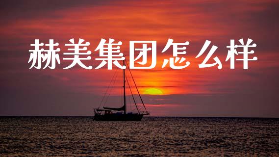 赫美集团怎么样_https://cj002.lansai.wang_期货问答_第1张