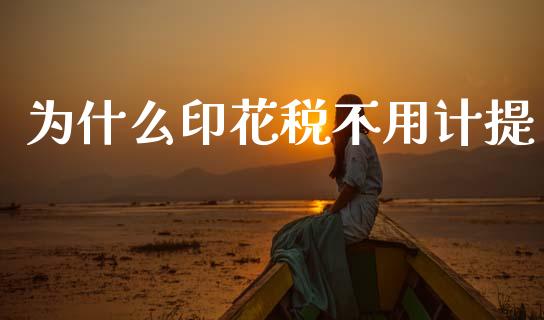 为什么印花税不用计提_https://cj002.lansai.wang_会计问答_第1张