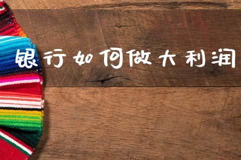 银行如何做大利润_https://cj002.lansai.wang_金融问答_第1张