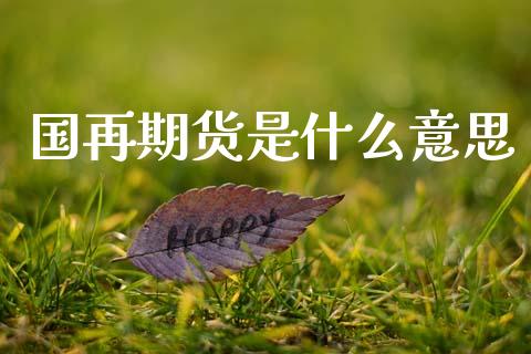 国再期货是什么意思_https://cj002.lansai.wang_期货问答_第1张