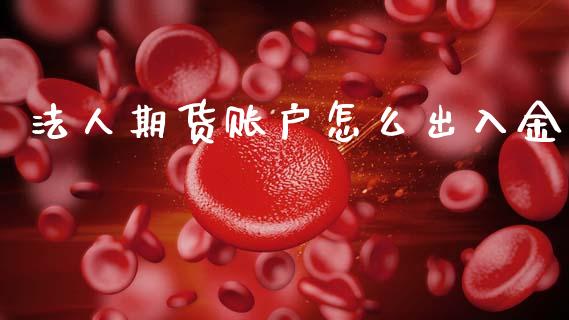 法人期货账户怎么出入金_https://cj002.lansai.wang_期货问答_第1张