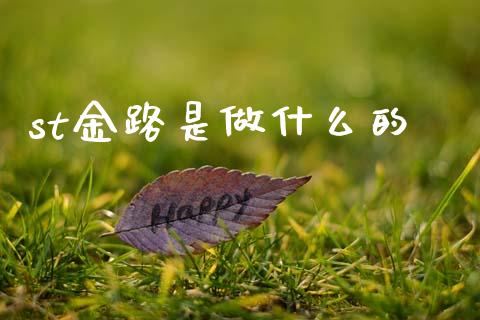 st金路是做什么的_https://cj002.lansai.wang_期货问答_第1张