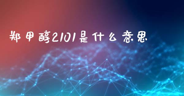 郑甲醇2101是什么意思_财经问答_第1张_财经百问网 郑甲醇2101是什么意思_https://cj002.lansai.wang_财经问答_第1张