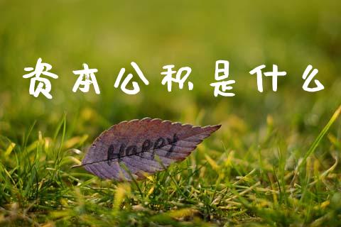 资本公积是什么_https://cj002.lansai.wang_会计问答_第1张