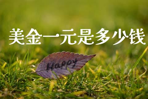 美金一元是多少钱_https://cj002.lansai.wang_财经问答_第1张