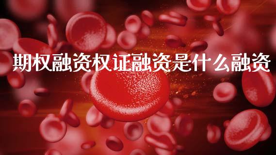 期权融资权证融资是什么融资_会计问答_第1张_财经百问网 期权融资权证融资是什么融资_https://cj002.lansai.wang_会计问答_第1张