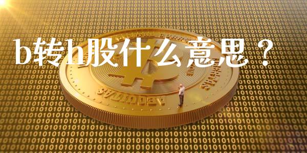 b转h股什么意思？_https://cj002.lansai.wang_理财问答_第1张