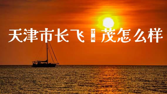 天津市长飞鑫茂怎么样_https://cj002.lansai.wang_财经百问_第1张