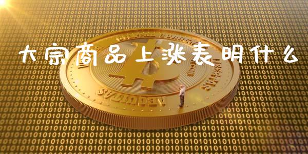 大宗商品上涨表明什么_https://cj002.lansai.wang_期货问答_第1张