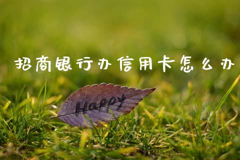 招商银行办信用卡怎么办_https://cj002.lansai.wang_金融问答_第1张