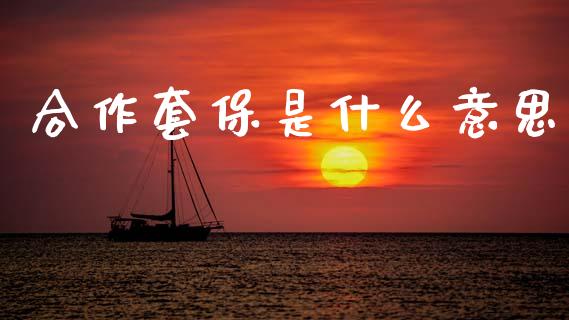 合作套保是什么意思_股市问答_第1张_财经百问网 合作套保是什么意思_https://cj002.lansai.wang_股市问答_第1张