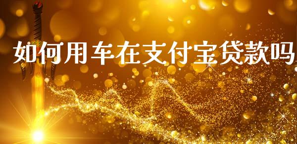 如何用车在支付宝贷款吗_https://cj002.lansai.wang_理财问答_第1张