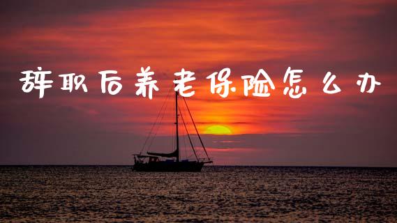 辞职后养老保险怎么办_https://cj002.lansai.wang_保险问答_第1张