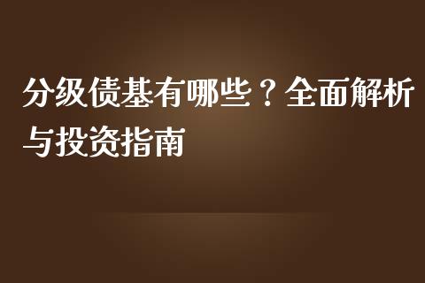 分级债基有哪些？全面解析与投资指南_https://cj002.lansai.wang_会计问答_第1张