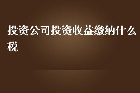 投资公司投资收益缴纳什么税_https://cj002.lansai.wang_会计问答_第1张