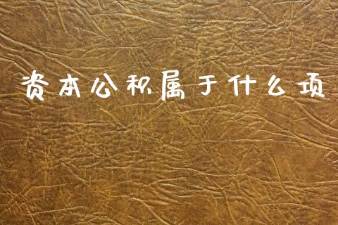 资本公积属于什么项_https://cj002.lansai.wang_会计问答_第1张