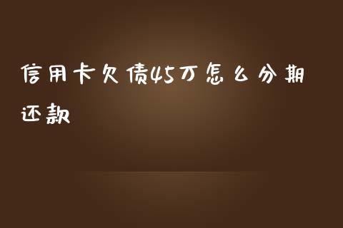 信用卡欠债45万怎么分期还款_https://cj002.lansai.wang_理财问答_第1张