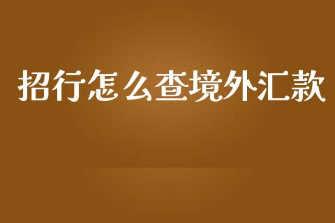 招行怎么查境外汇款_https://cj002.lansai.wang_金融问答_第1张